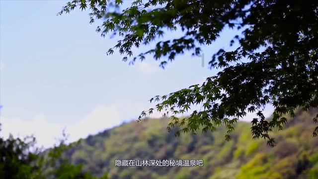 88影视