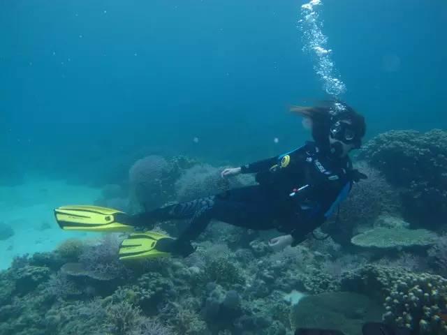 浙江两地路面结冰致上百辆车追尾？警方回应