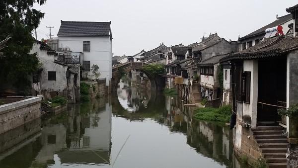 小猫钓鱼游戏龙王版有船